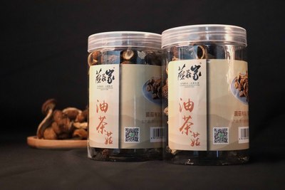 蘑菇家油茶菇罐装50g